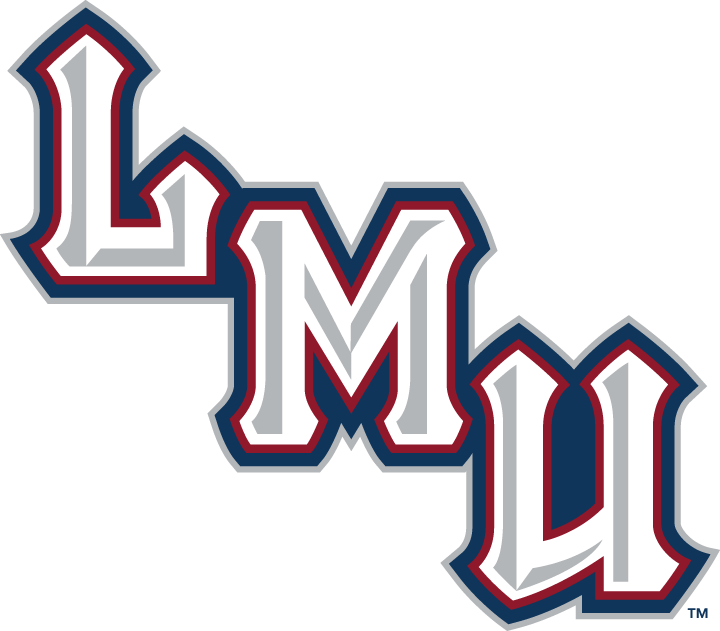 Loyola Marymount Lions 2001-Pres Wordmark Logo v2 diy iron on heat transfer